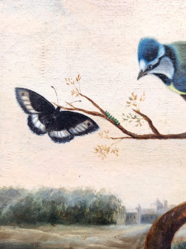 Antiquités - Birds, Insects, and Butterflies, signed P NEUMANN