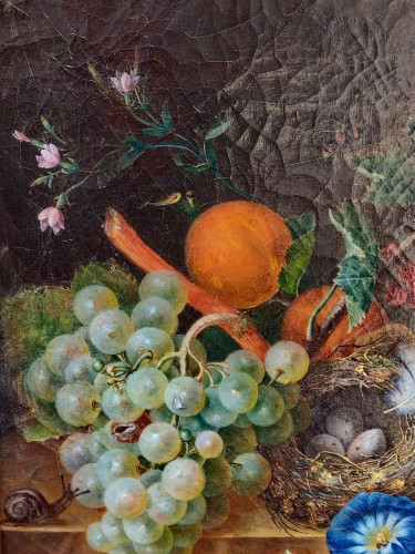  Still life with snail attributed to Moise JACOBBER (1786-1863) - Paintings & Drawings Style 