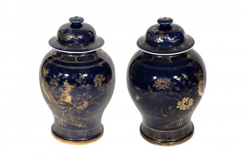 Paire de potiches bleu poudré d'or Chine 18e siècle