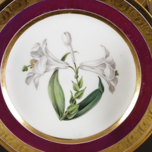 Schoelcher suite de 14 assiettes à décor botanique vers 1810-1820 - Galerie Théorème