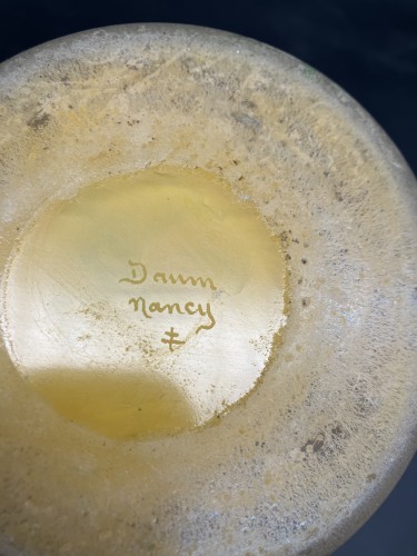 Antiquités - Daum Nancy - Vase d'ombelles libellules et papillons