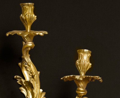 Paire d'appliques d'époque Louis XV - Galerie Wanecq