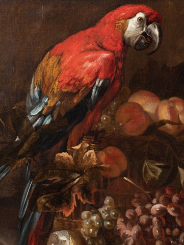 XVIIe siècle - Nature morte au perroquet et aux fruits Attribué À David De CONINCK