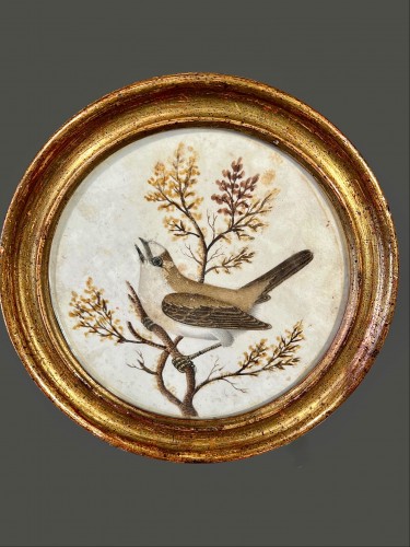 XVIIe siècle - Cinq parchemins par Pier-Sante Cicala (1664-1727)