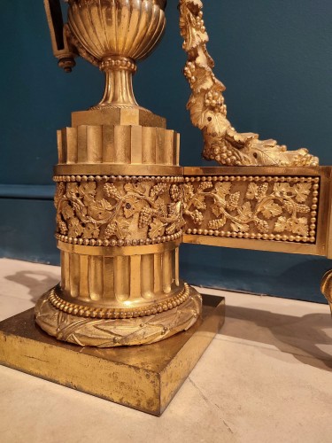 Architectural & Garden  - Pair of Louis XVI andirons in gilt bronze