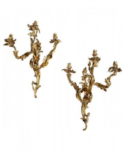 Large pair of early 19th century Louis XV Style Sconces