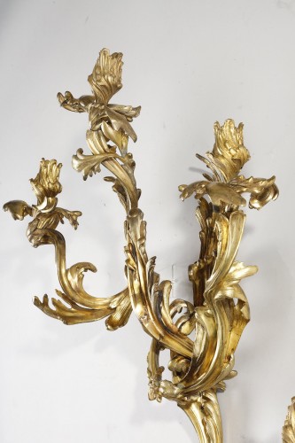 Lighting  - Large pair of early 19th century Louis XV Style Sconces