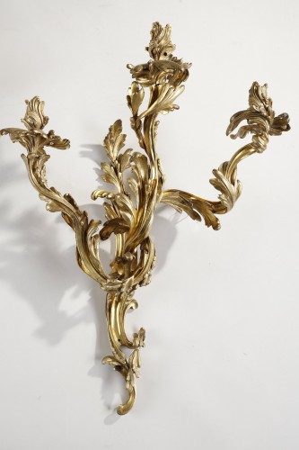 19th century - Large pair of early 19th century Louis XV Style Sconces
