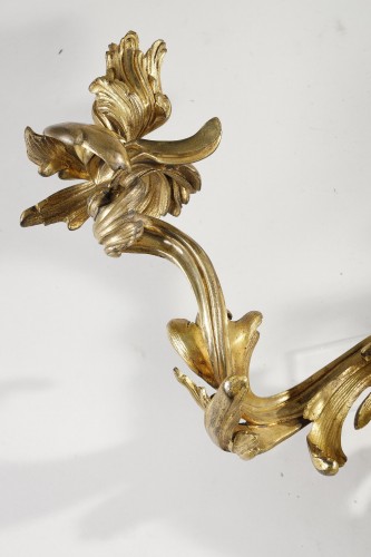 Large pair of early 19th century Louis XV Style Sconces - 