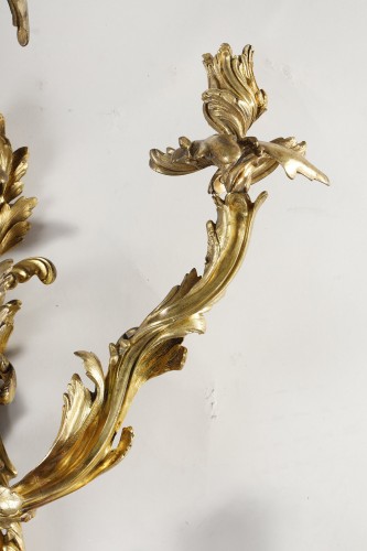  - Large pair of early 19th century Louis XV Style Sconces