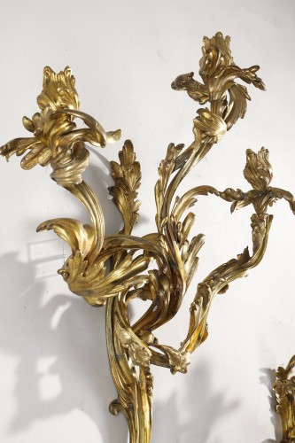 Antiquités - Large pair of early 19th century Louis XV Style Sconces