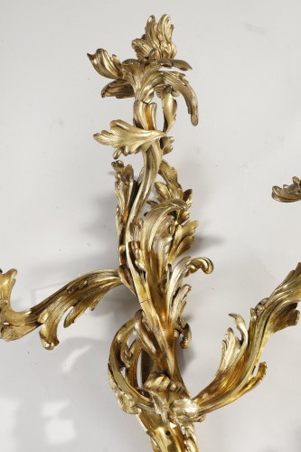 Antiquités - Large pair of early 19th century Louis XV Style Sconces