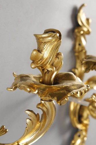Large pair of Louis XV period gilt bronze sconces - Lighting Style Louis XV