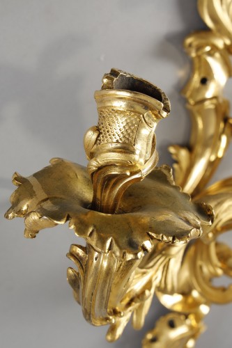 18th century - Large pair of Louis XV period gilt bronze sconces