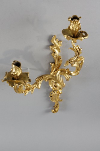 Louis XV - Large pair of Louis XV period gilt bronze sconces