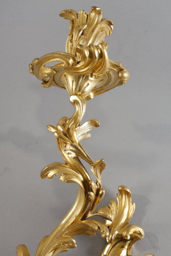 Antiquités - Large pair of Louis XV period gilt bronze sconces
