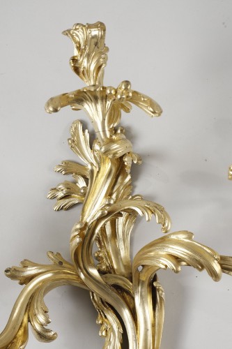 Louis XV - Rare Set Of Four Large Gilt Bronze Wall Lights From The Louis XV Period