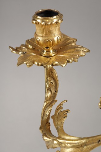Paire de candélabres rocaille d'époque Louis XV - Galerie Gilles Linossier