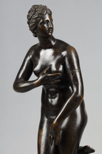 Pair of late 18th-century bronzes depicting  the Venus de Medici and Apollo - 