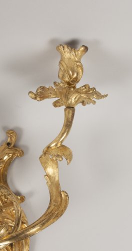 Paire d'appliques en bronze doré d'époque Louis XV - Galerie Gilles Linossier