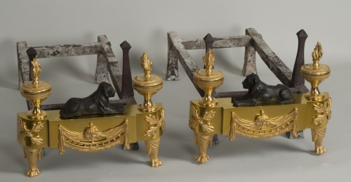 Objet de décoration  - Paire de chenets d'époque Empire