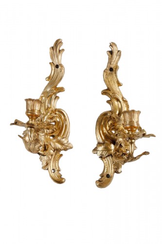 Small Pair Of Louis XV Rocaille Sconces In Gilt Bronze
