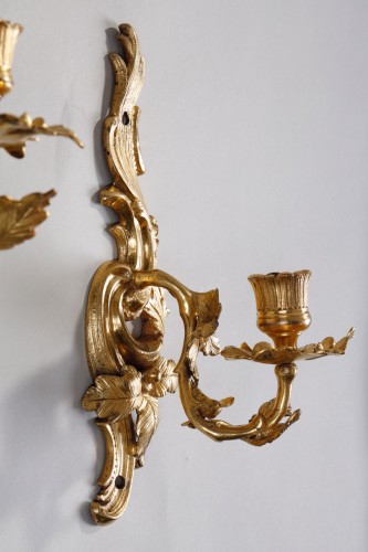 Small Pair Of Louis XV Rocaille Sconces In Gilt Bronze - Louis XV