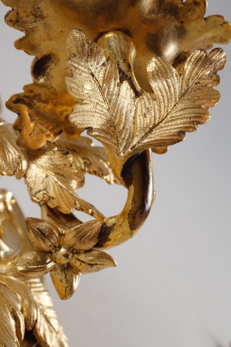 Antiquités - Small Pair Of Louis XV Rocaille Sconces In Gilt Bronze