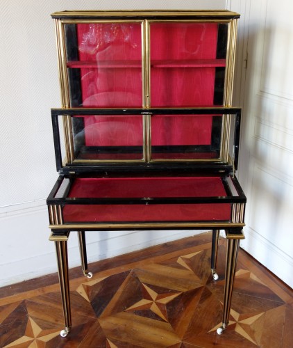 Meuble vitrine de collectionneur d'époque Napoléon III - GSLR Antiques