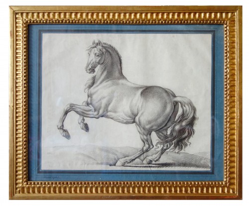 Dessin de  cheval - École française du 18e siècle d'après Van der Meulen