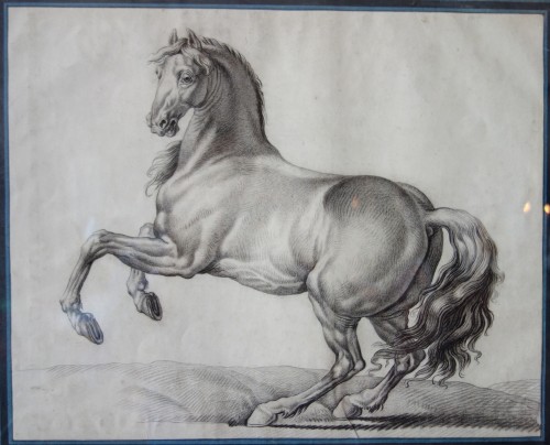 Prancing horse - 18th century French school after Van der Meulen - Paintings & Drawings Style 