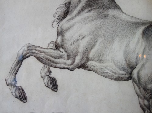 Dessin de  cheval - École française du 18e siècle d'après Van der Meulen - GSLR Antiques