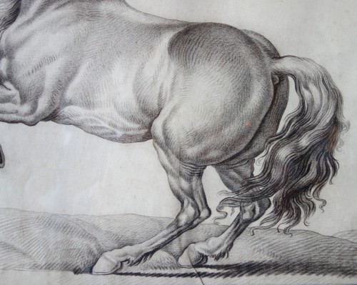 18th century - Prancing horse - 18th century French school after Van der Meulen