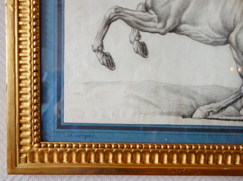 Antiquités - Prancing horse - 18th century French school after Van der Meulen