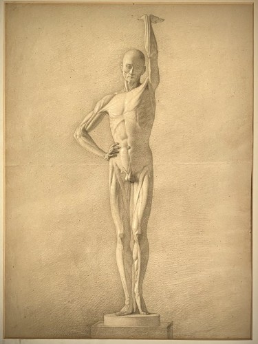 Dessin académique d'un écorché mâle, XIXe siècle
