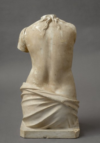 Curiosities  - Anatomical didactic model