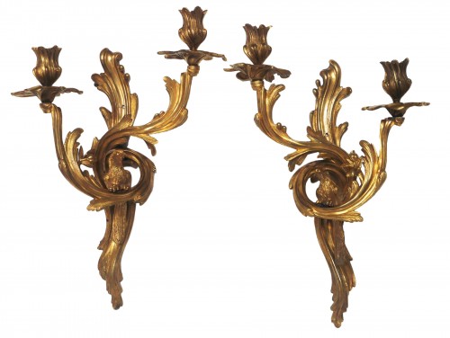 Paire d'appliques au perroquet, Louis XV