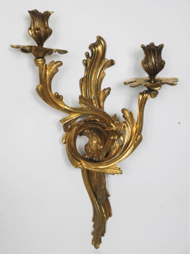 Luminaires Appliques - Paire d'appliques au perroquet, Louis XV