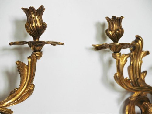 Paire d'appliques au perroquet, Louis XV - Louis XV