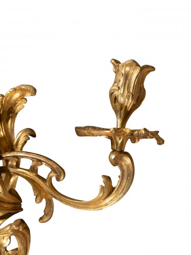 Louis XV - Paire d'appliques d'époque Louis XV en bronze doré