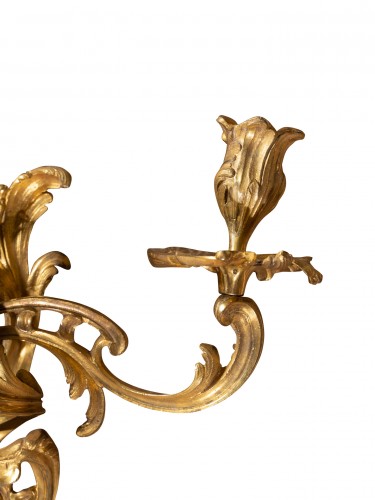 Louis XV - A pair of Louis XV ormolu two- light appliques