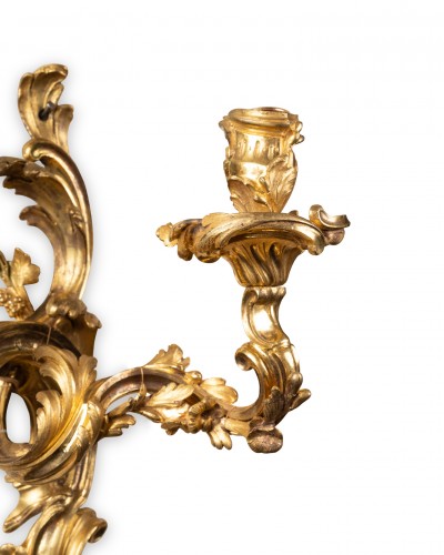 A pair of Louis XV Ormolu twin-branch Wall lights - 