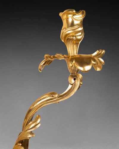 18th century - A pair of ormolu Wall Sconces Louis XV period