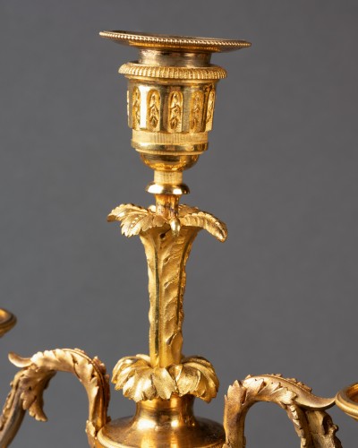 18th century - A Pair of Candélabra Louis  XVI Period