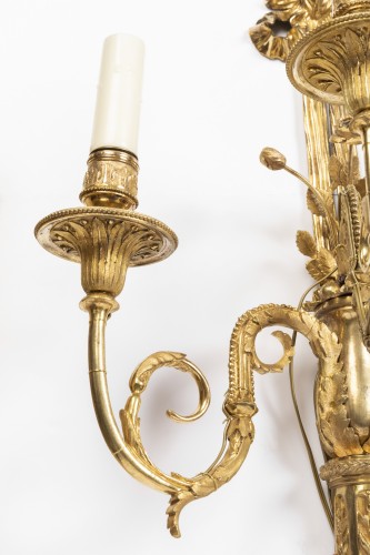 XVIIIe siècle - Ensemble de quatre grandes appliques Epoque Louis XVI en bronze doré