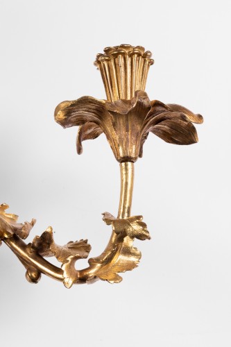 Antiquités - Paire d' Appliques en bronze doré Epoque Régence
