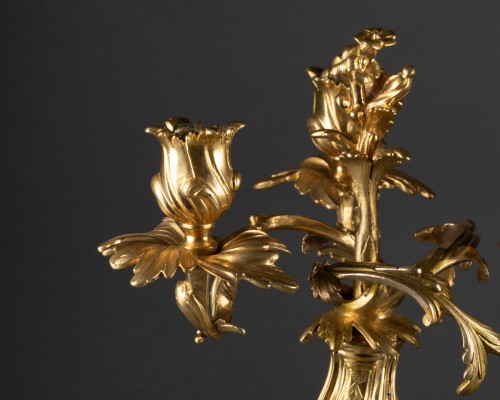 Luminaires Bougeoirs et Chandeliers - Paire de Candélabres Rocaille Epoque Louis XV bronze doré