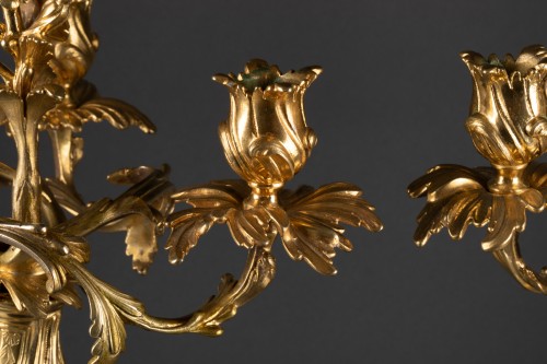 XVIIIe siècle - Paire de Candélabres Rocaille Epoque Louis XV bronze doré