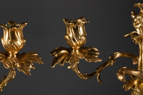 Paire de Candélabres Rocaille Epoque Louis XV bronze doré - Louis XV