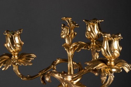 Louis XV - Paire de Flambeaux formant Candélabres Rocaille Epoque Louis XV bronze doré